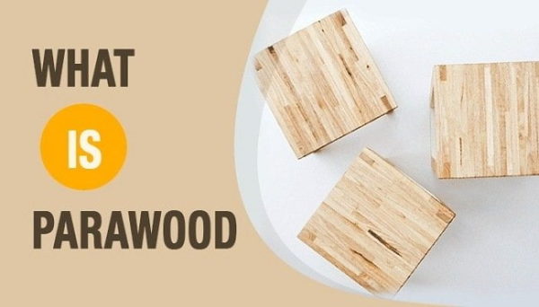 What is parawood