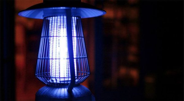 Best Bug Zapper Best Bug Zapper