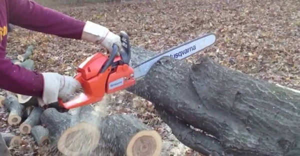 Best Chainsaw Best Chainsaw