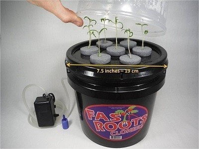 Fast Roots Cloners Indoor Cloning Machine Fast Roots Cloners Indoor Cloning Machine