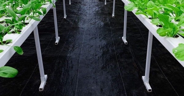 Best Weed Barrier Best Weed Barrier