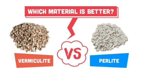 Vermiculite vs Perlite Vermiculite vs Perlite